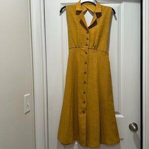 Alex Marie Sleeveless Button Dress